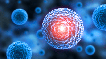 AdobeStock_214979224_1920